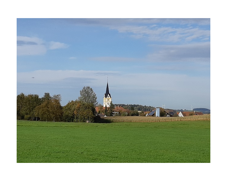 Im Herbst 2019 (12)